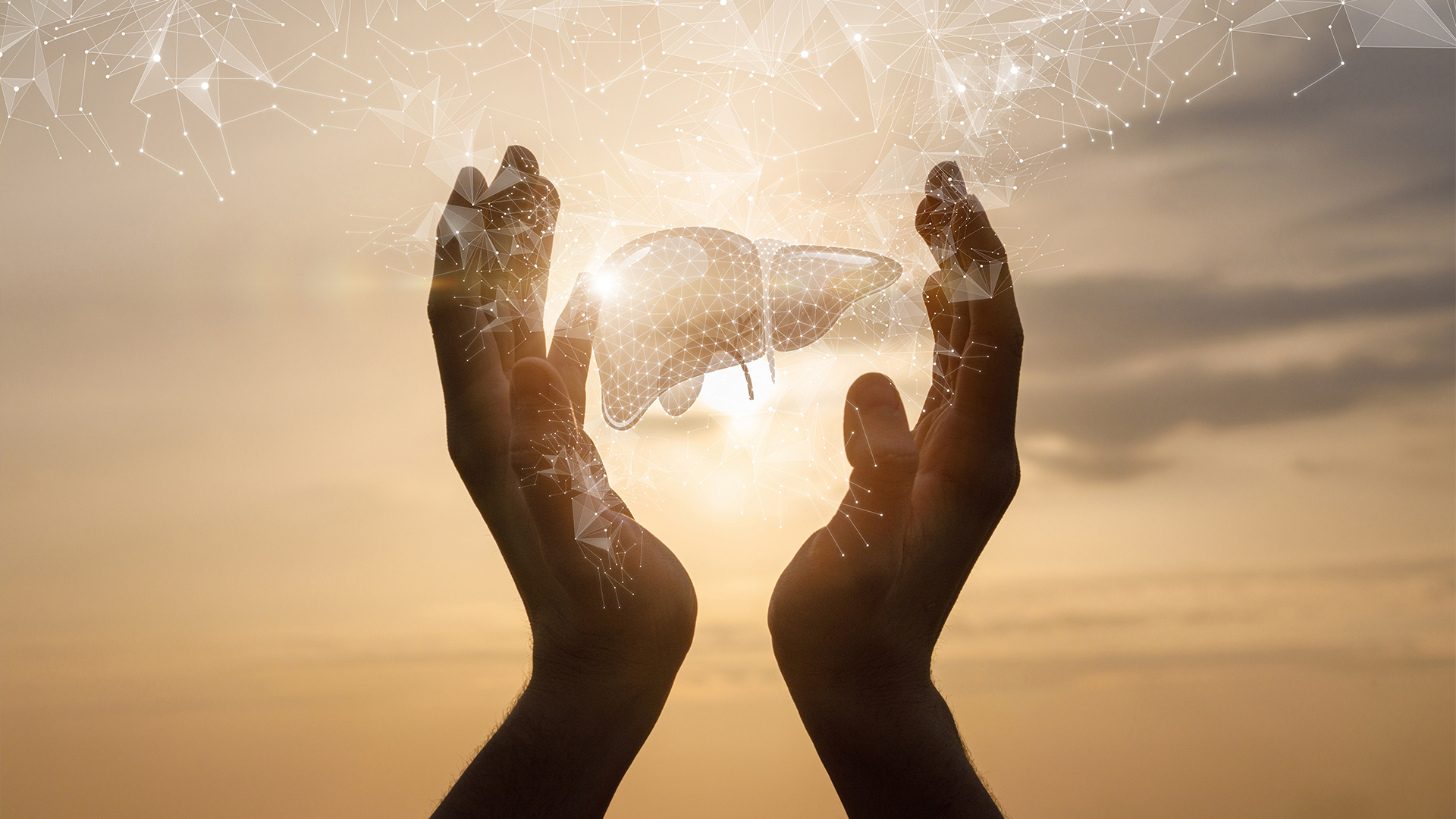 Hepro: O Suporte Diário que Seu Fígado Precisa para a Saúde e Vitalidade Contínua